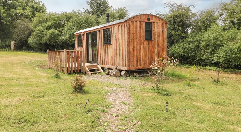 Photo of The Queen Bee