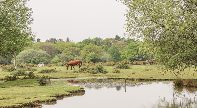 Photo of Lilac Cottage