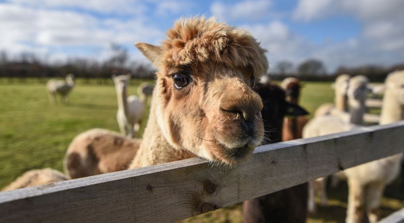 Photo of Ware Barn Cottage