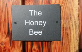 Photo of the-honeybee