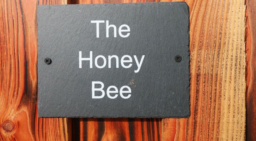 Photo of The Honeybee