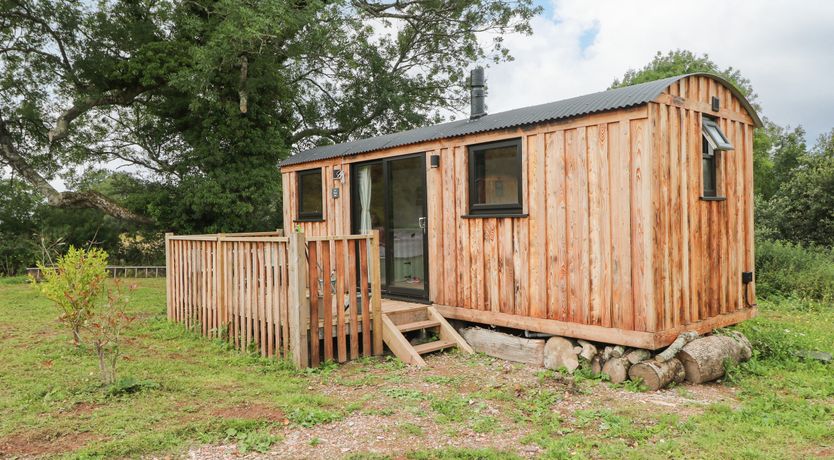 Photo of The Honeybee