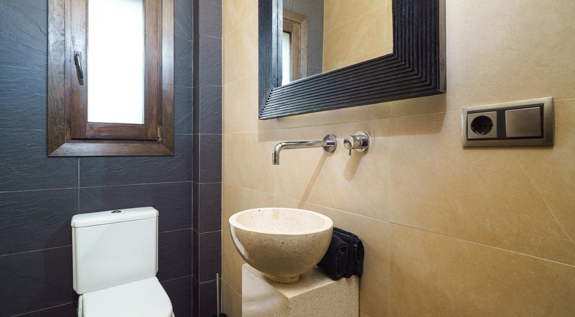 Photo of Views Of The Elephant