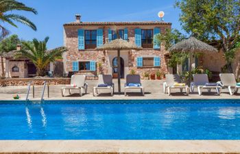 Palm Trees & Parasols Villa