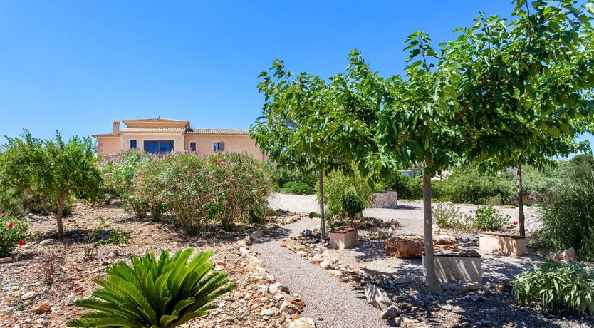 Photo of Sunny Memories