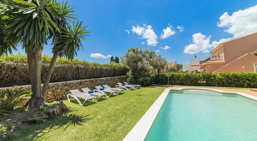 Photo of Poolside Dreams