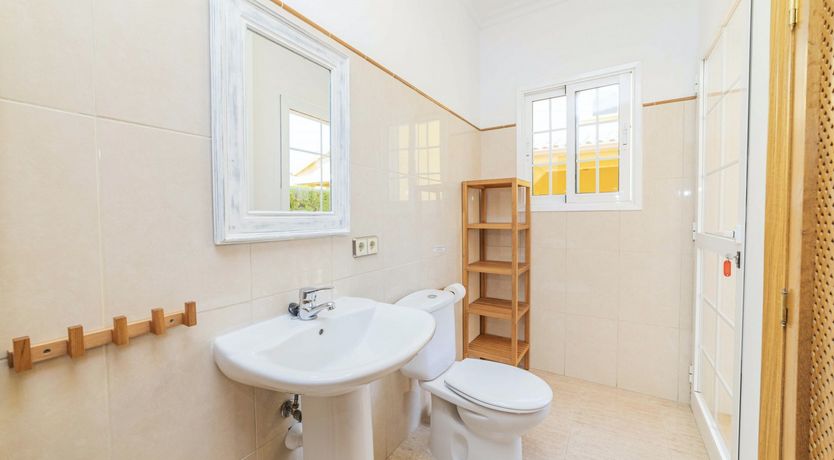 Photo of Poolside Dreams