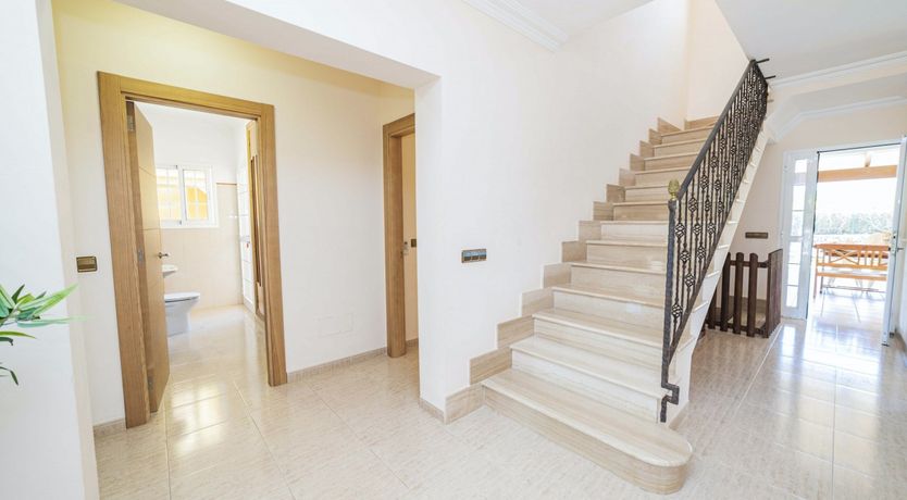 Photo of Poolside Dreams