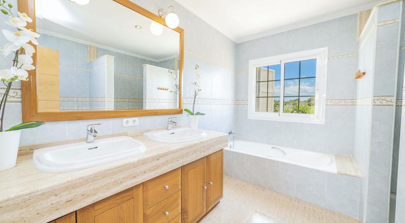 Photo of Poolside Dreams