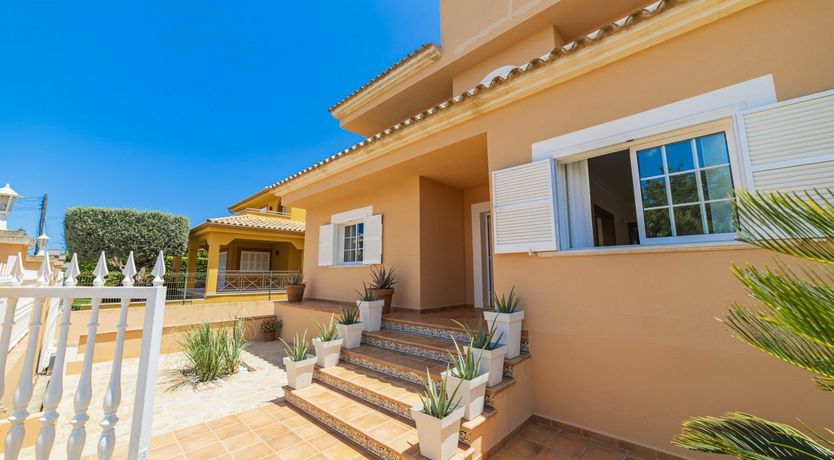 Photo of Poolside Dreams