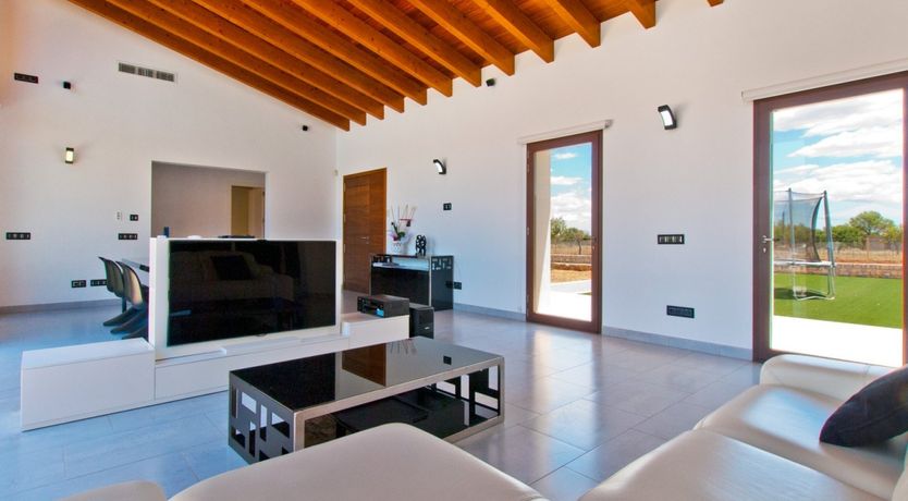 Photo of Almond Flowers