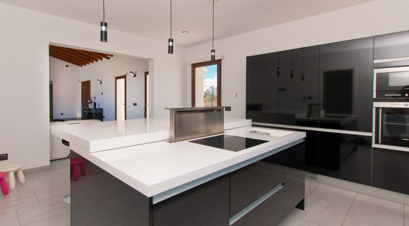 Photo of Almond Flowers