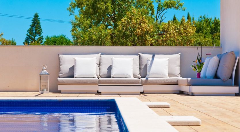 Photo of Almond Flowers