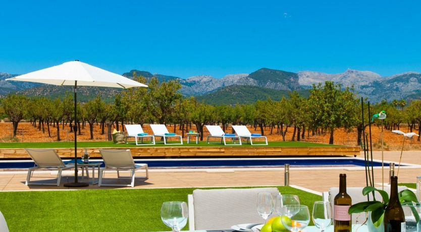 Photo of Almond Flowers