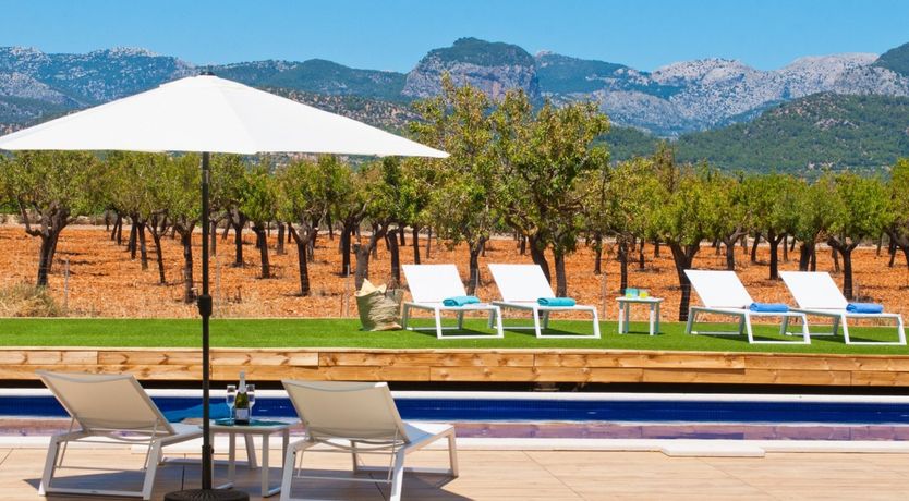 Photo of Almond Flowers