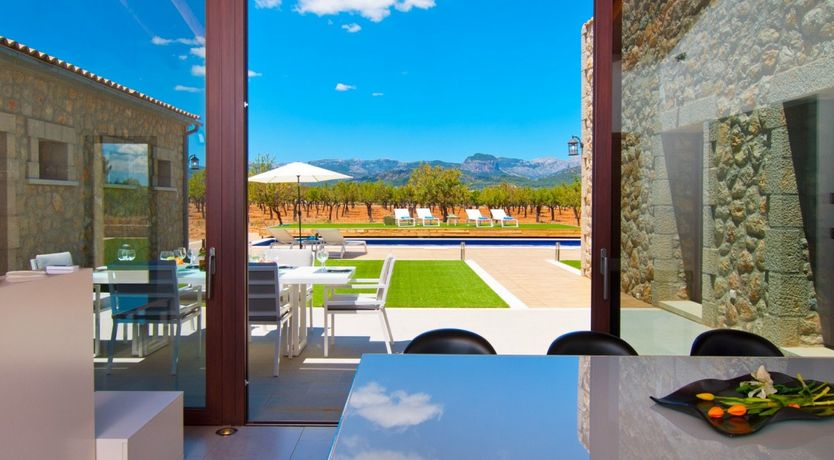 Photo of Almond Flowers