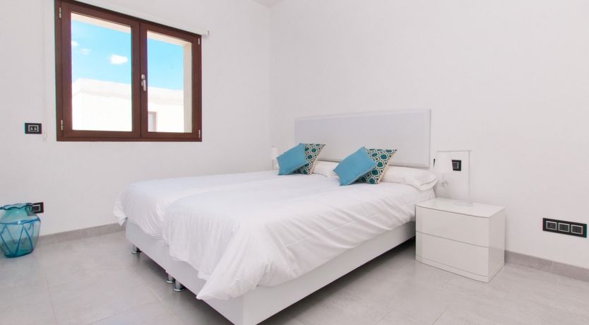 Photo of Almond Flowers