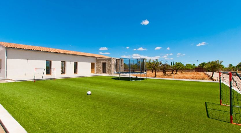 Photo of Almond Flowers