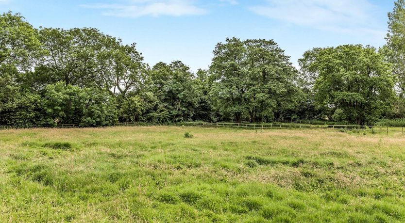 Photo of Forest Whispers