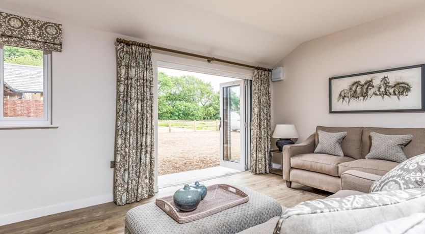 Photo of Forest Whispers