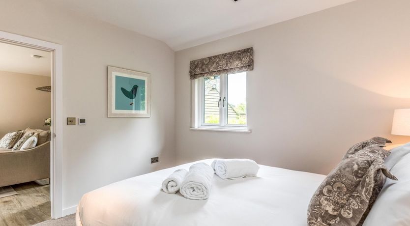 Photo of Forest Whispers