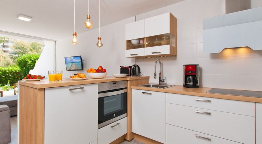 Photo of Spanish Bougainvillea