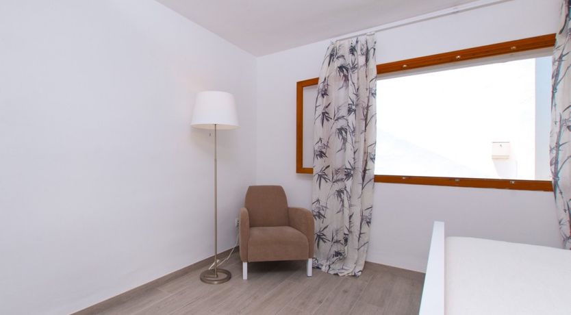 Photo of Spanish Bougainvillea