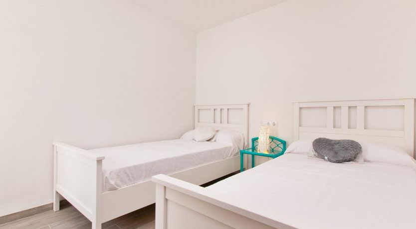 Photo of Spanish Bougainvillea