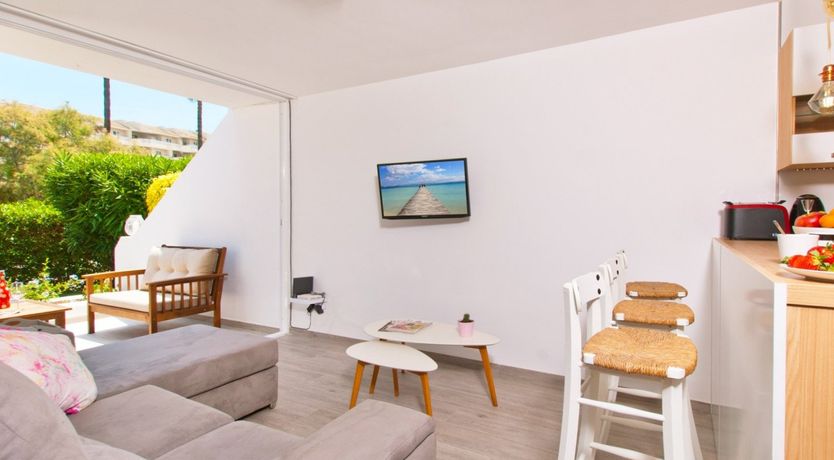 Photo of Spanish Bougainvillea