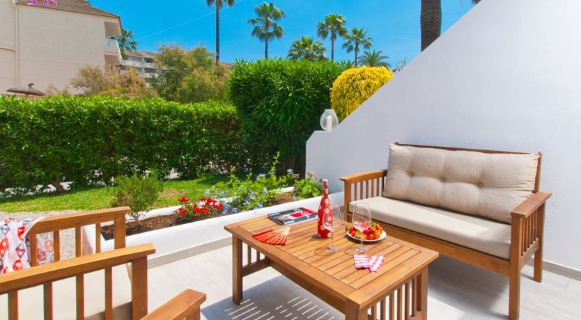 Photo of Spanish Bougainvillea