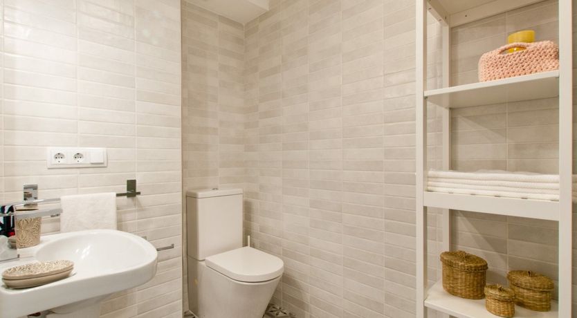 Photo of Spanish Bougainvillea