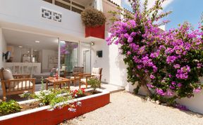 Photo of Spanish Bougainvillea