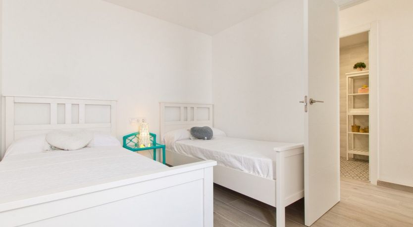 Photo of Spanish Bougainvillea