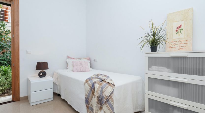 Photo of The Spanish Soul