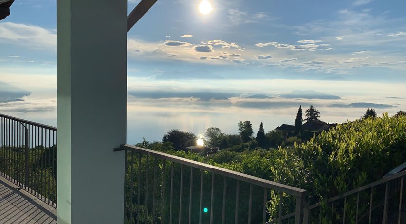 Photo of Top of the Lake