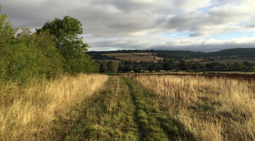 Photo of Mindful Moments