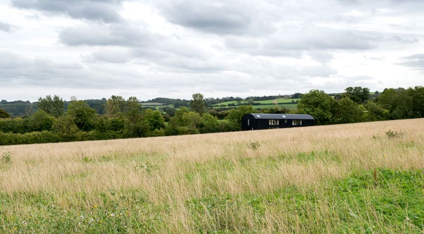 Photo of Mindful Moments