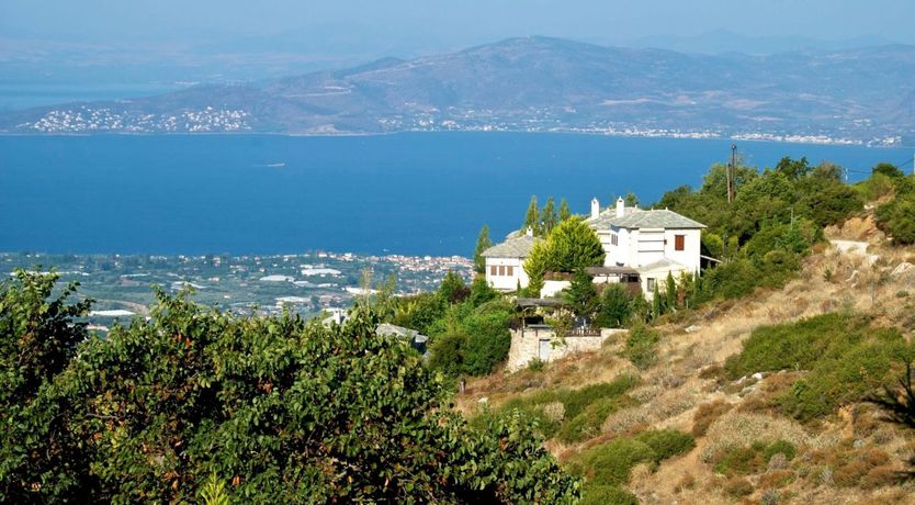 Photo of Sweetness of Summer