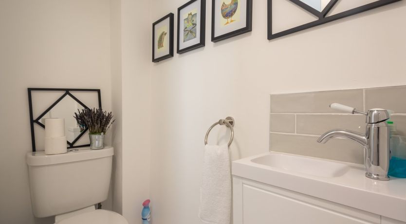 Photo of The River Runs By