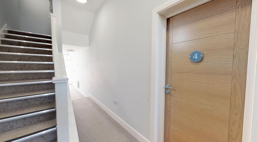 Photo of Drink the Water