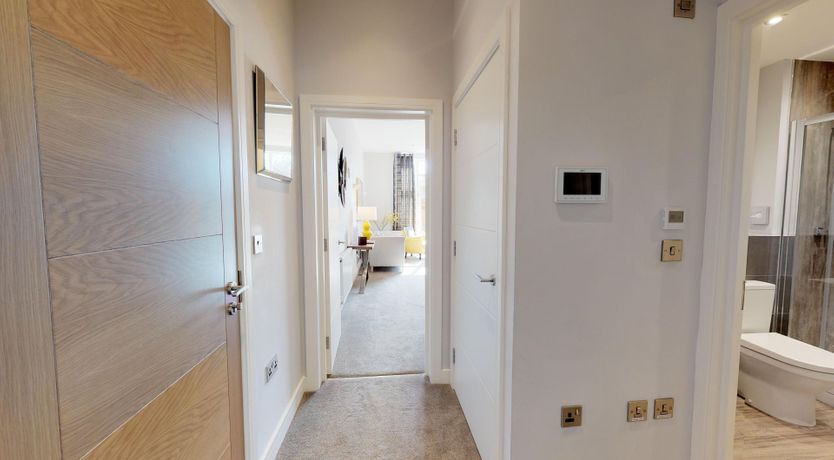 Photo of Drink the Water