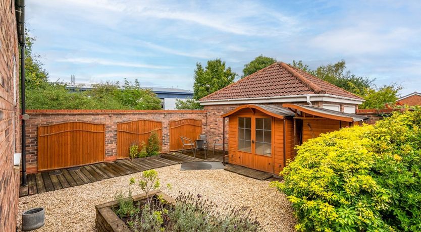 Photo of Little Hazelnut