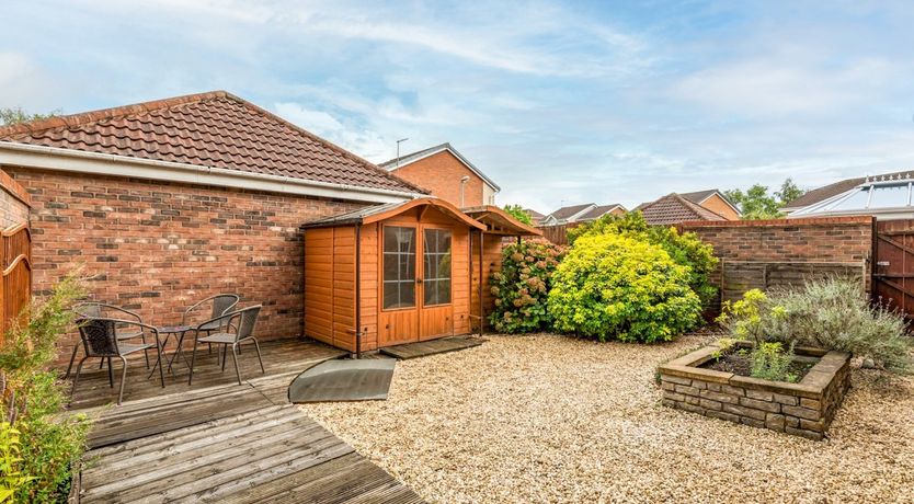 Photo of Little Hazelnut