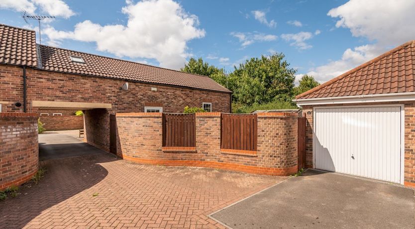 Photo of Little Hazelnut