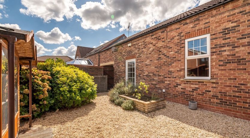 Photo of Little Hazelnut