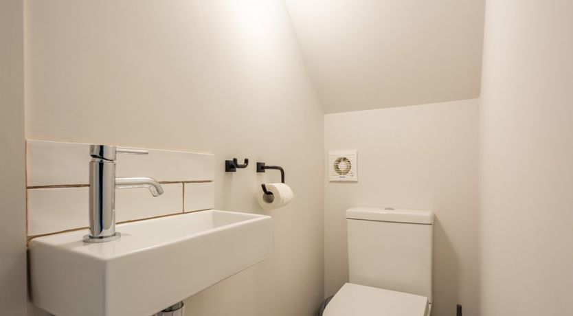 Photo of Eastern Oyster