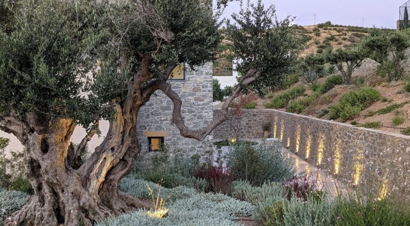 Photo of Peonies & Sea Salt