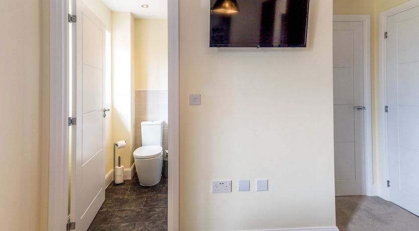 Photo of Lilac Breeze