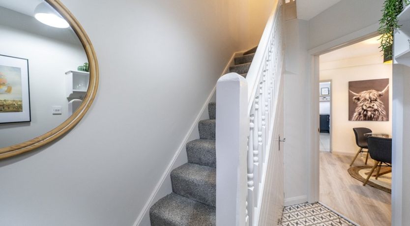 Photo of Jeweled Night Sky