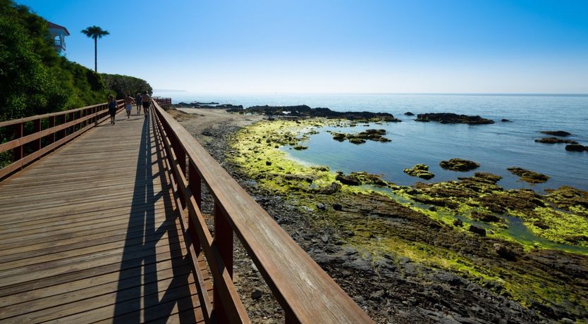 Photo of Sea of Colours